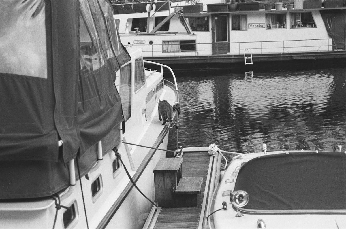 A marina dock scene with an open boat engine compartment showing oil filters, hoses, a battery terminal with light corrosion, a cooling pump, and a few maintenance tools laid out beside the hatch, with the hull and prop visible just above the waterline.